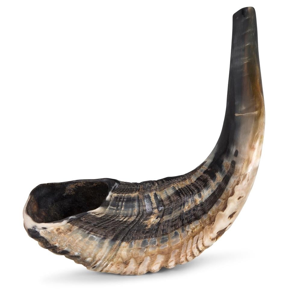 Ram's Horn Shofar 15"-16" - Natural