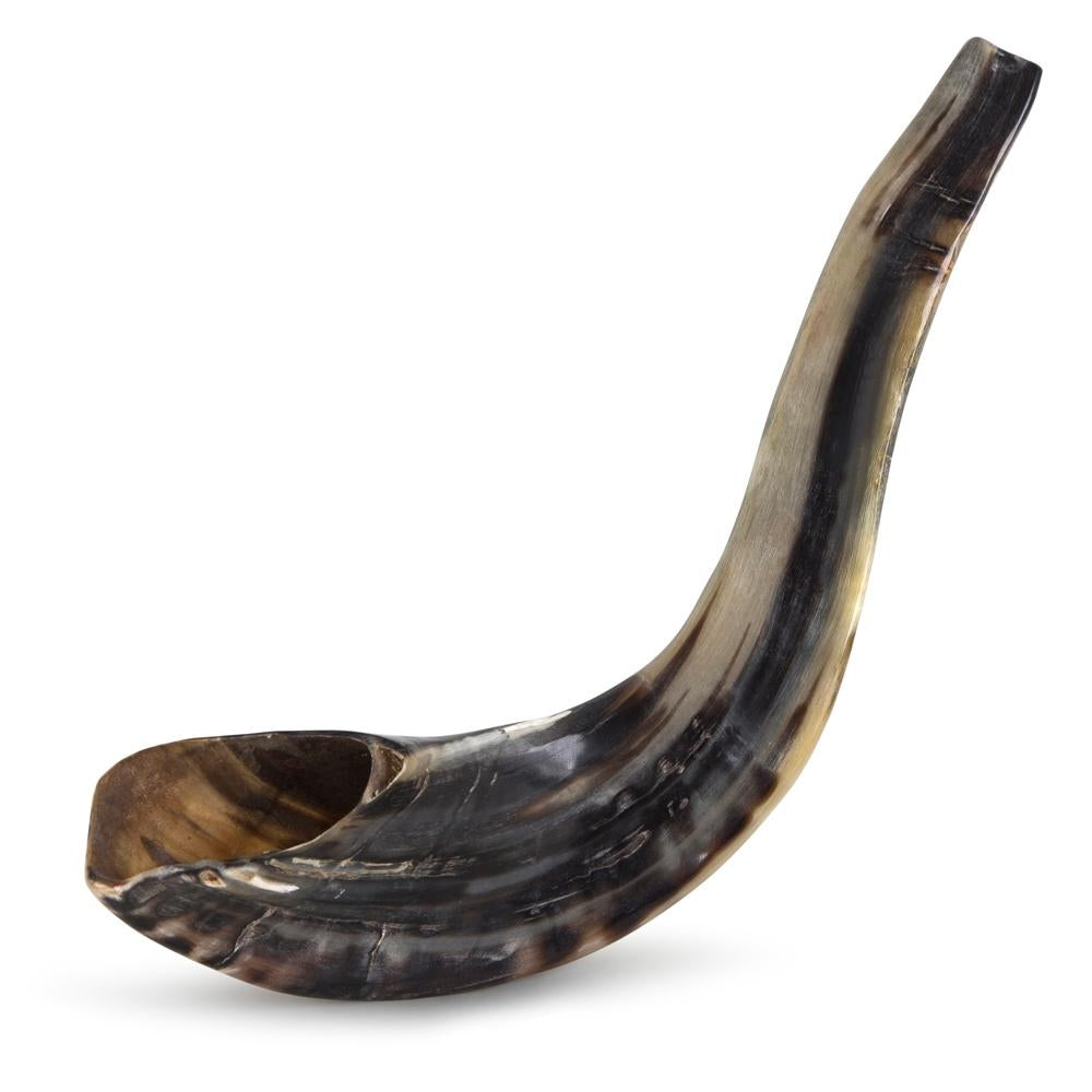 Ram's Horn Shofar 17"-18" - Fully Polished