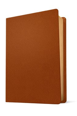 KJV Life Application Study Bible, Third Edition, Genuine Leather, Brown