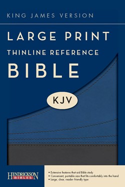 KJV Large Print Thinline Reference Bible, Flexisoft, Slate/Blue