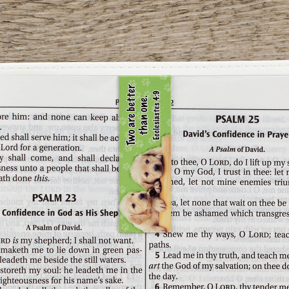 One of the green bookmarks from the Deuteronomy 14:2 Special Treasure Magnetic Bookmark Set displayed in a Bible