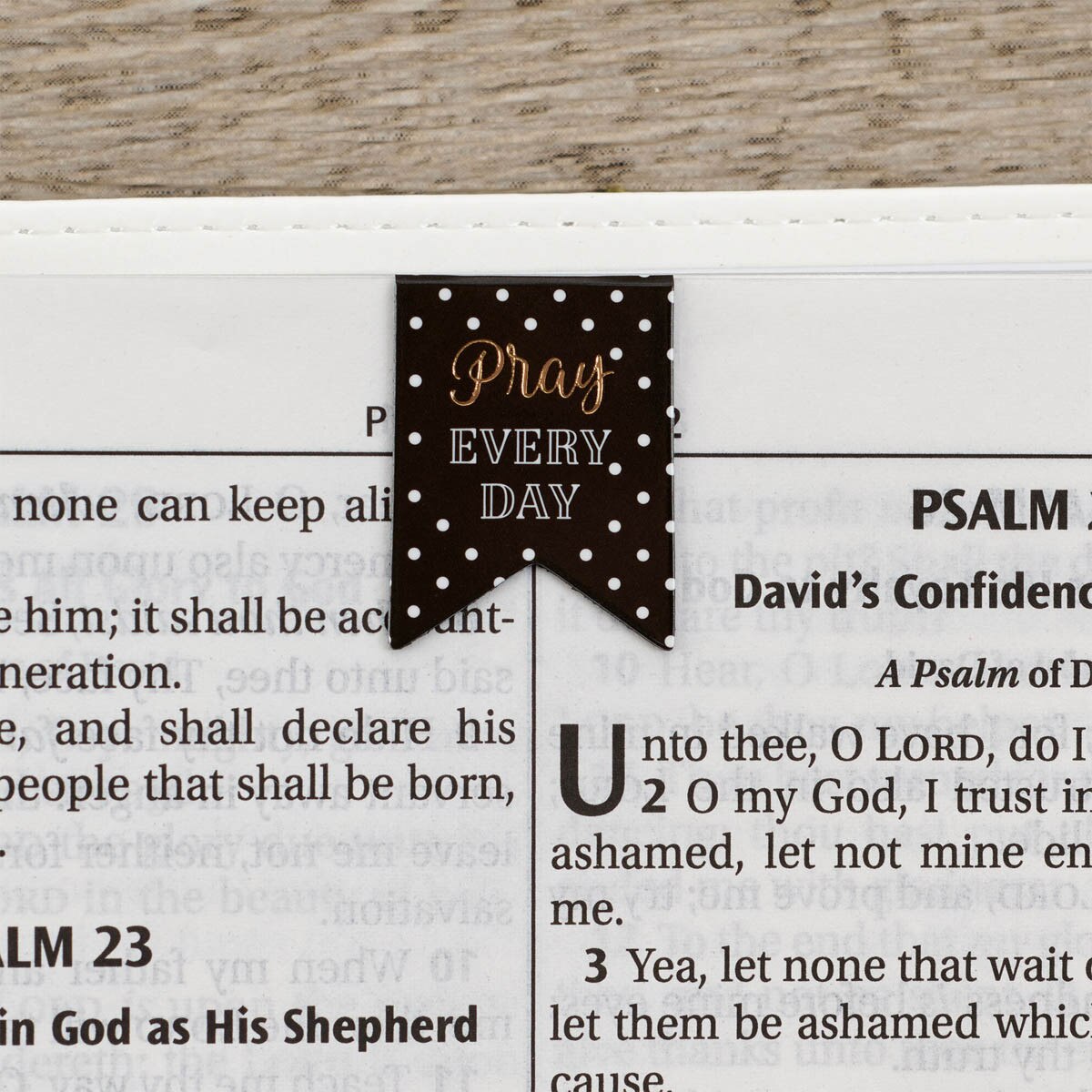 One of the bookmarks from the Pray Every Day Petite Die-cut Magnetic Bookmark Set displayed in a Bible
