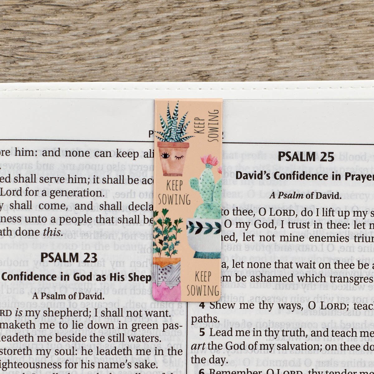 One of the bookmarks in the Succulent Garden Magnetic Bookmark Set displayed in a Bible