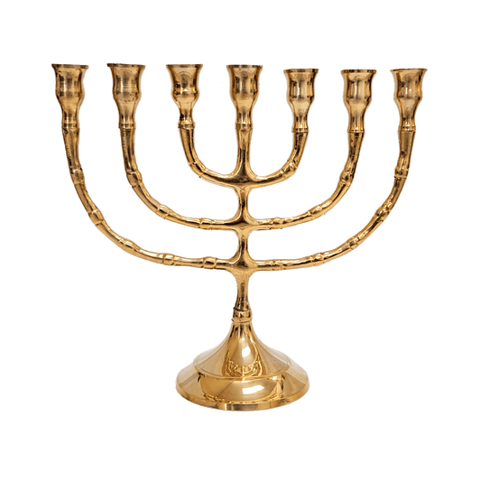 7" Temple Polished Brass Menorah