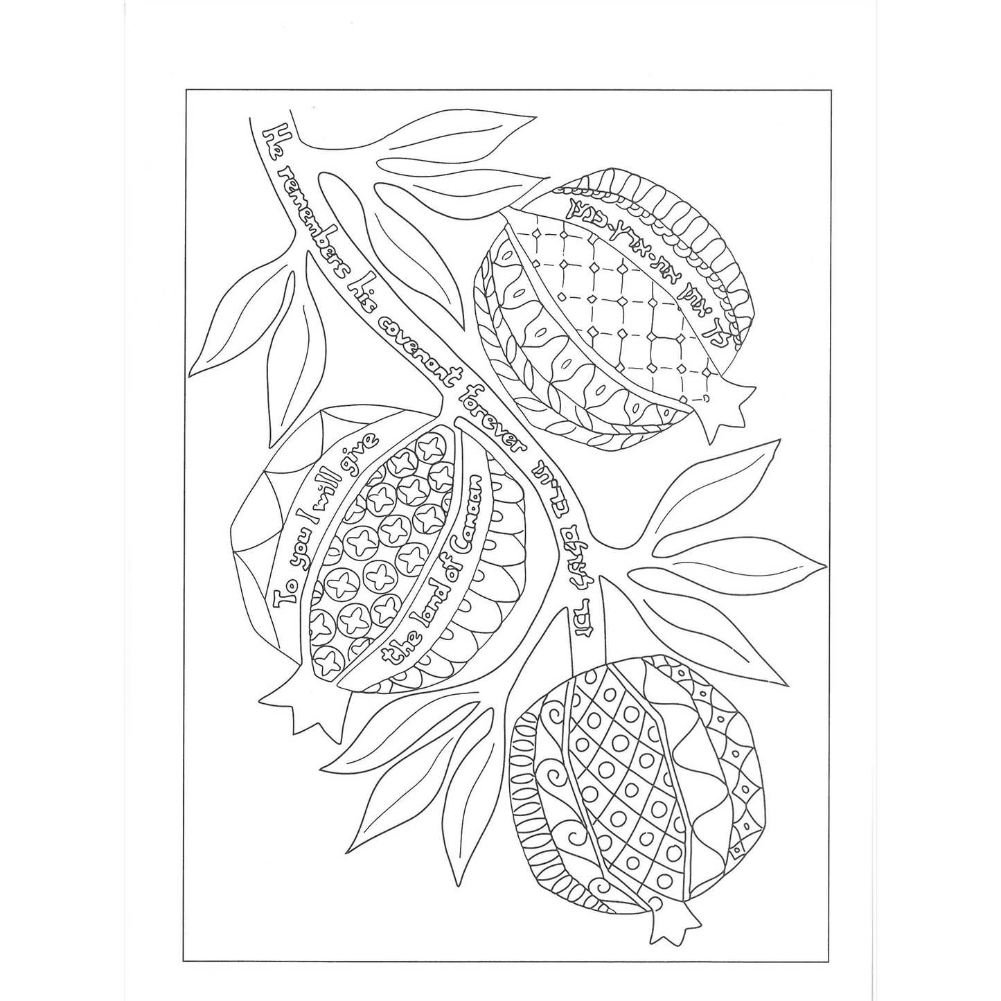 Israel of Promise Coloring Book