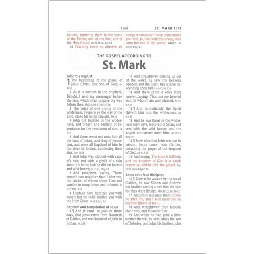 KJV Large Print Wide Margin Bible - Genuine Leather