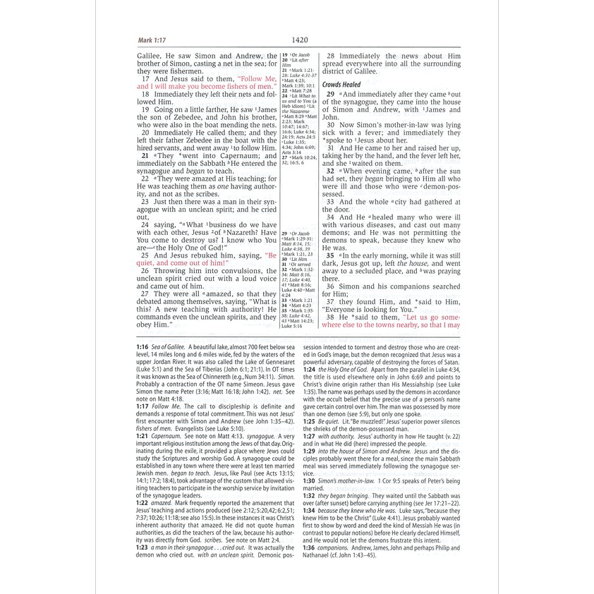 NASB Study Bible - Leather