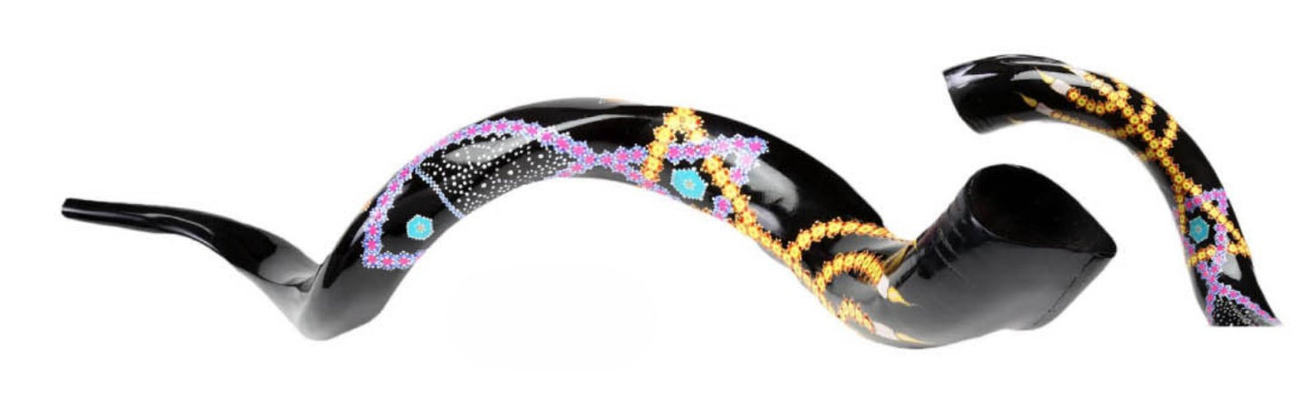 Yemenite Shofar 40" - 44" - Hand Painted Grafted In Design on Black