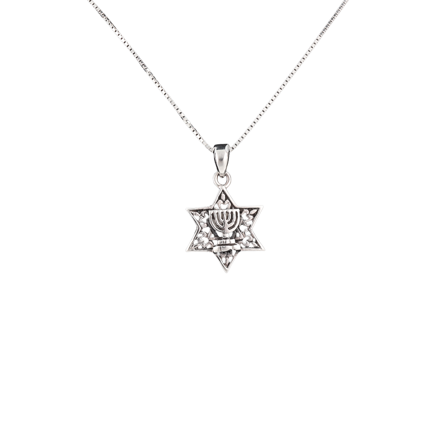 Star of David with Menorah Pendant
