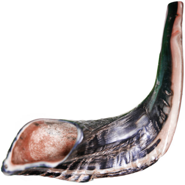 Prayer Shawl, Anointing Oil & Shofar Set