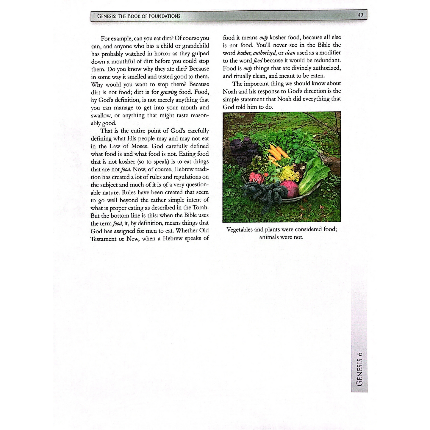 Genesis Adult Textbook (iPad, Epub)