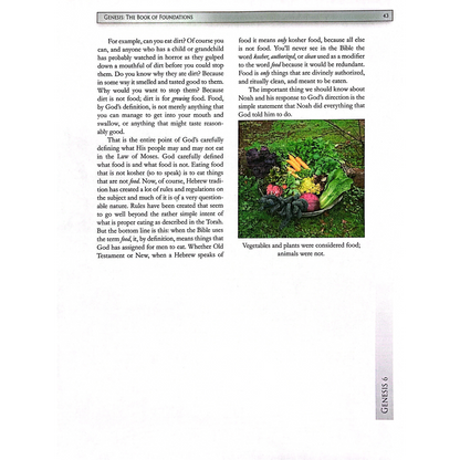 Genesis Adult Textbook (iPad, Epub)