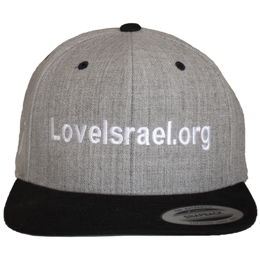 Grey & black flat brim, snapback hat w/ green underbill & white grafted in & love Israel embroidery