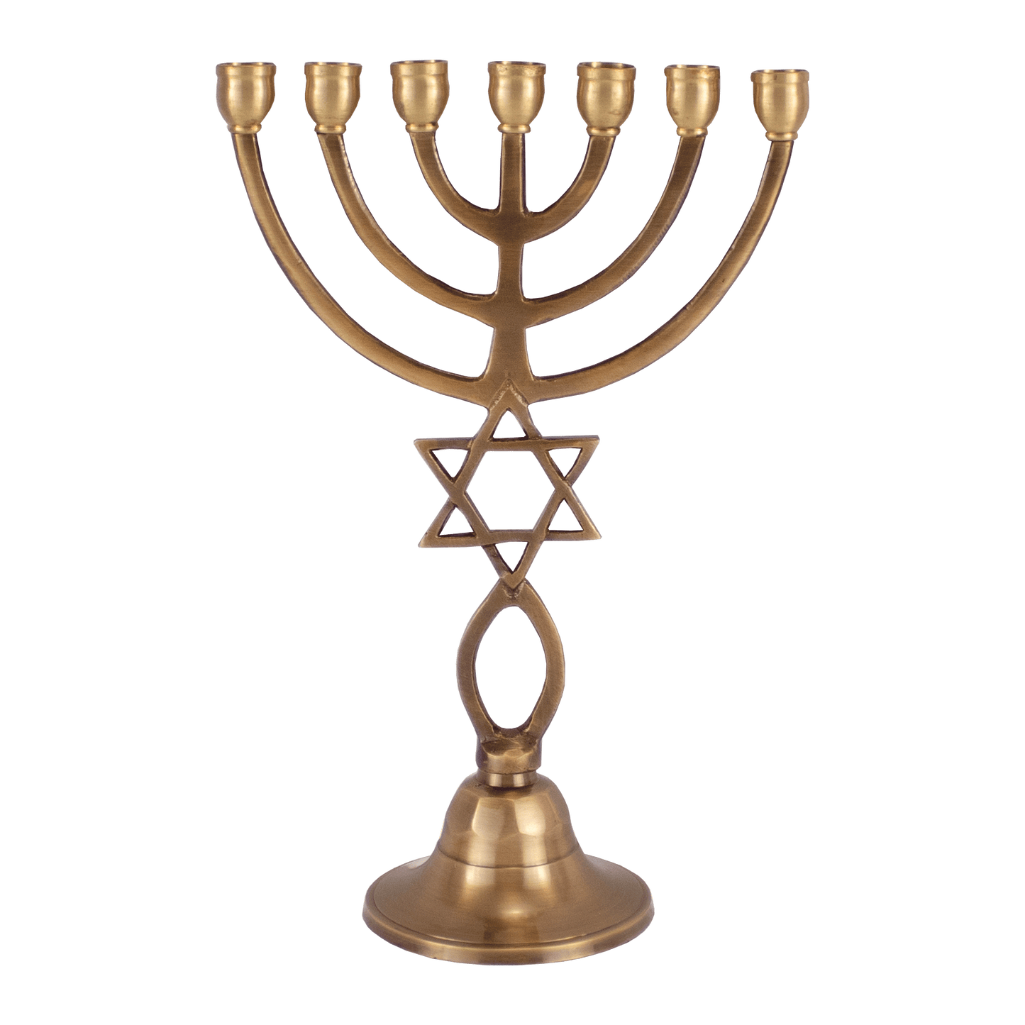 9" Solid Brass Grafted-In Menorah
