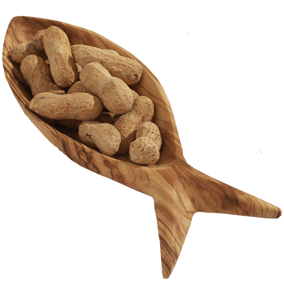 Olive Wood Fish Dish - Medium