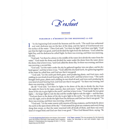 The Complete Jewish Study Bible (Flexisoft)