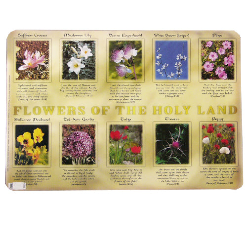 Seven Species (2 sided) Poster/Placemat