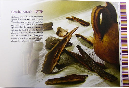 excerpt for incense and spices cook book