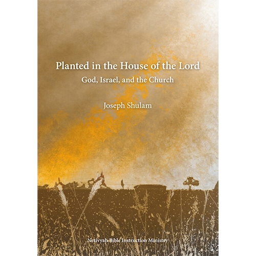 being planted in the house of god Planted in the House of the Lord – Holyland Marketplace