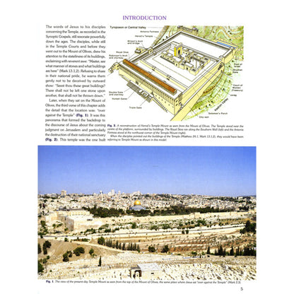 Understanding the Holy Temple Jesus Knew - Carta