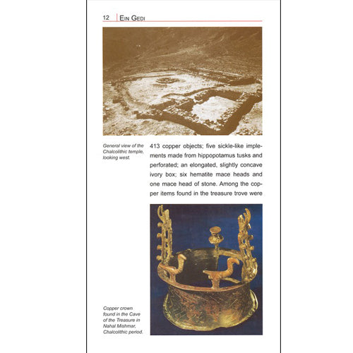 Ein Gedi - Oasis and Refuge - Field Guide from Carta