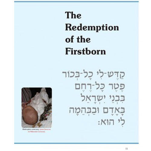 Understanding Jewish Ceremonial by Carta