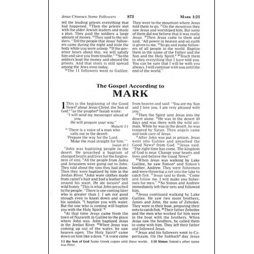 My Rainbow Promise Bible