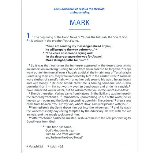 The Complete Jewish Bible - Giant Print - Imitation Leather