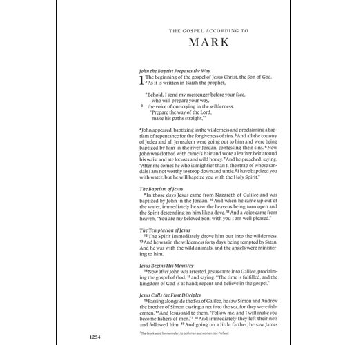 ESV Single Column Journaling Bible - Large Print