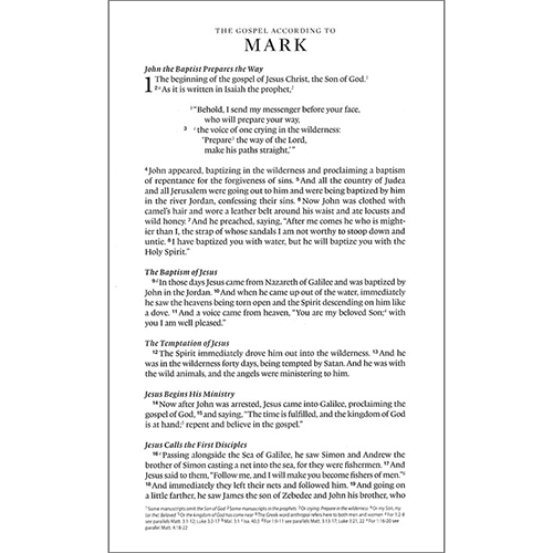 ESV Single-Column Thinline Bible - Turquoise