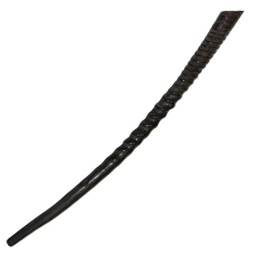 Gemsbok Shofar 23" - 26"
