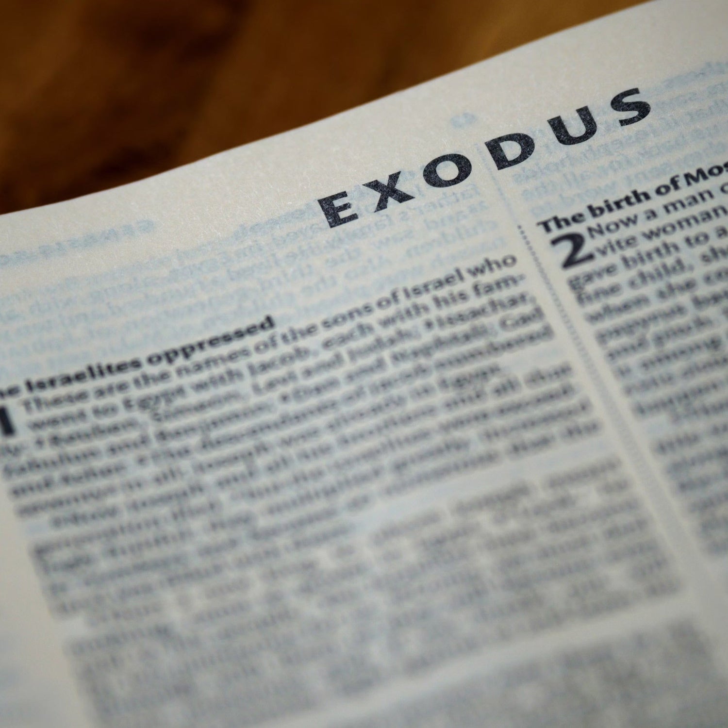Bibles