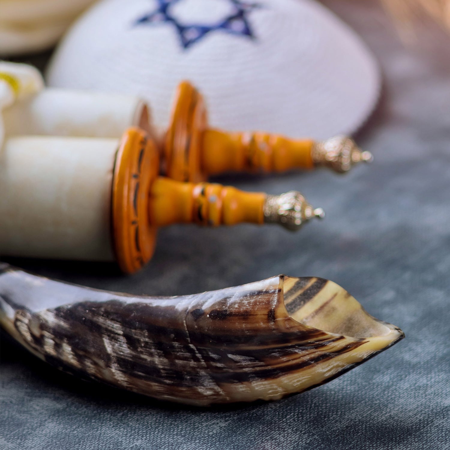 Judaica - Shofars