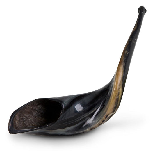 Ram's Horn Shofar 15"-16" - Fully Polished