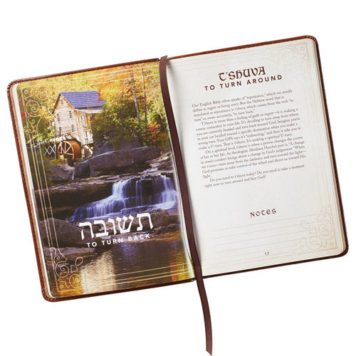 52 Hebrew Words Every Christian Should Know gift book with gold foil details and gilt-edged pages