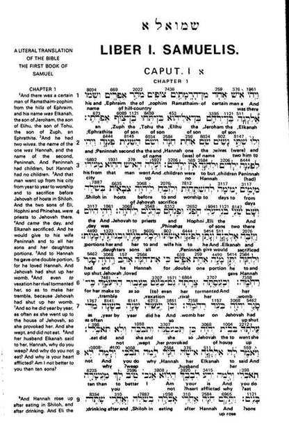 Interlinear Bible study page showing original-language words with literal English rendering