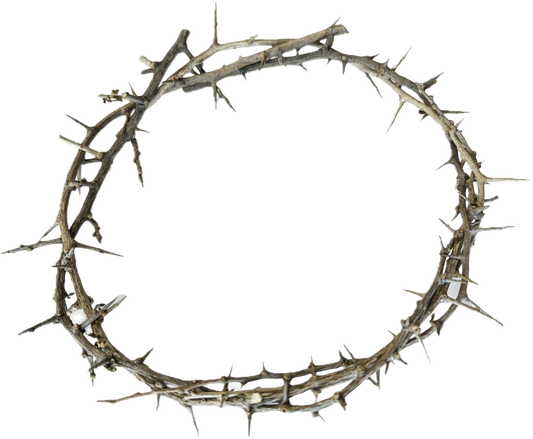 Crown of Thorns
