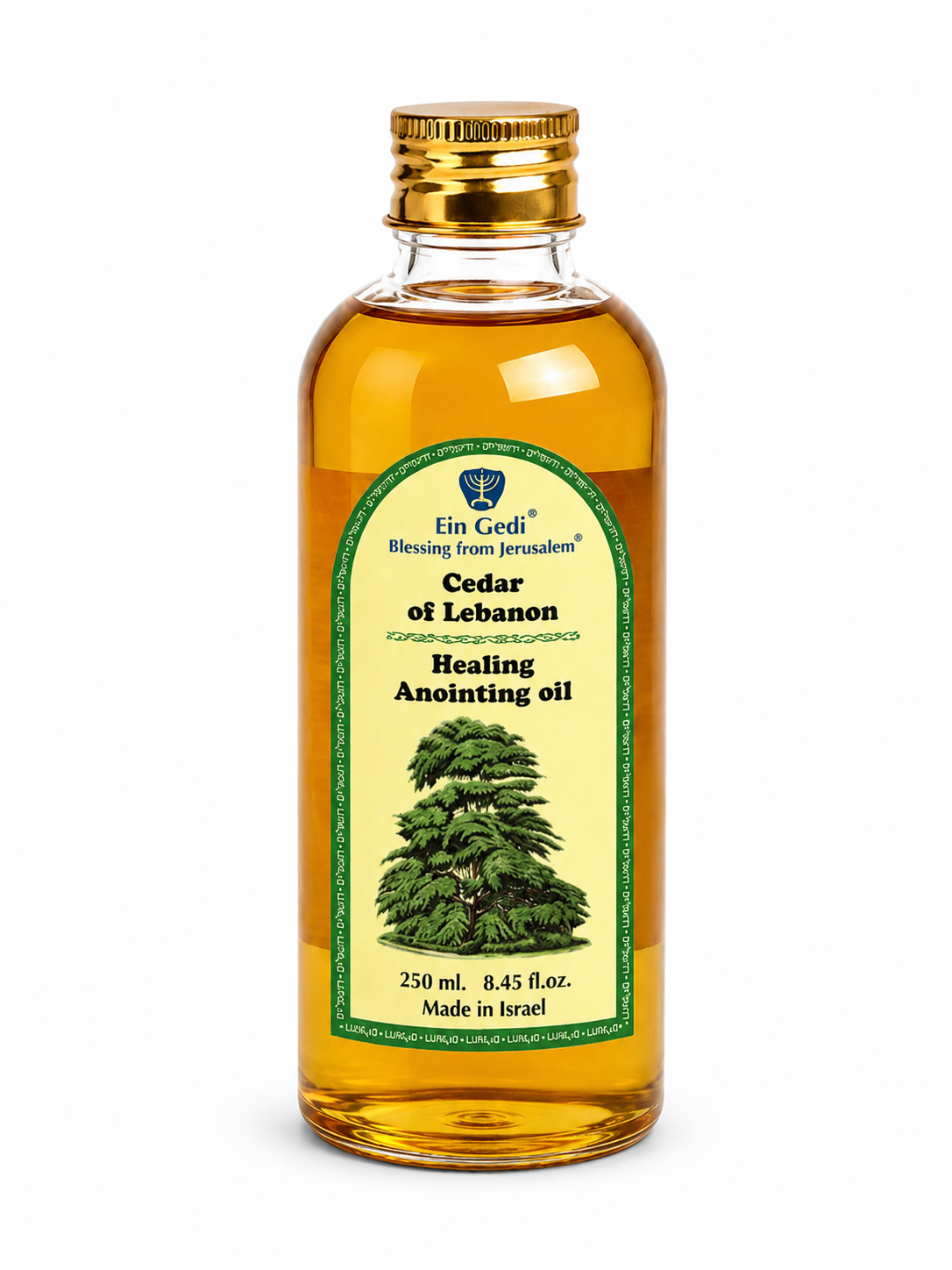 Ein Gedi Cedar of Lebanon Healing anointing oil 250ml PET bottle on white background