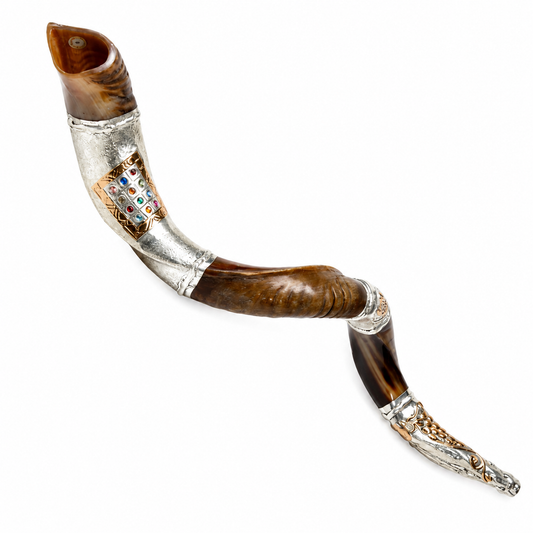 Yemenite Shofar 40" - 42" - Silver Plated Breastplate Design