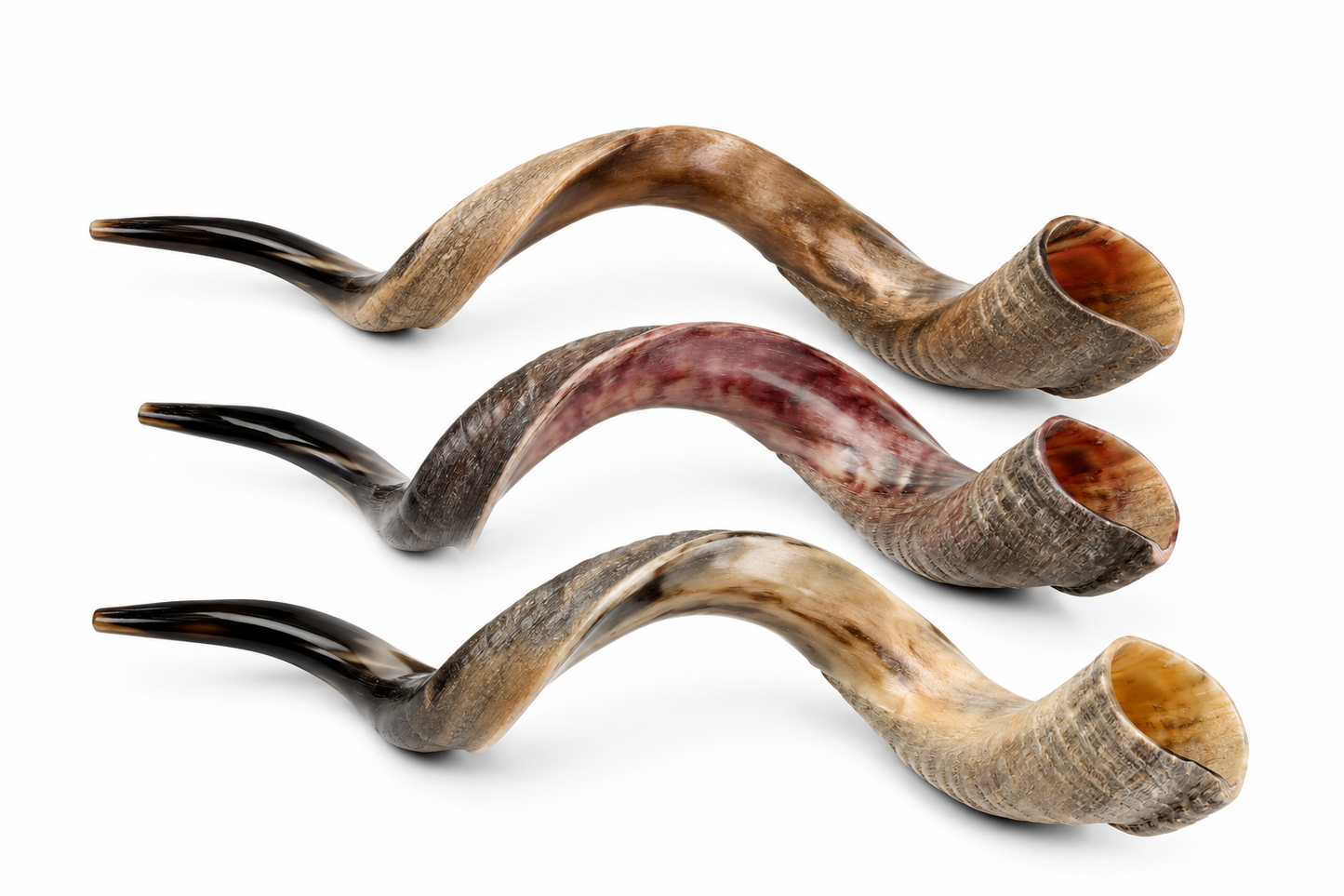 Three large half-polished Yemenite shofars in natural brown, red, and cream tones on a white background