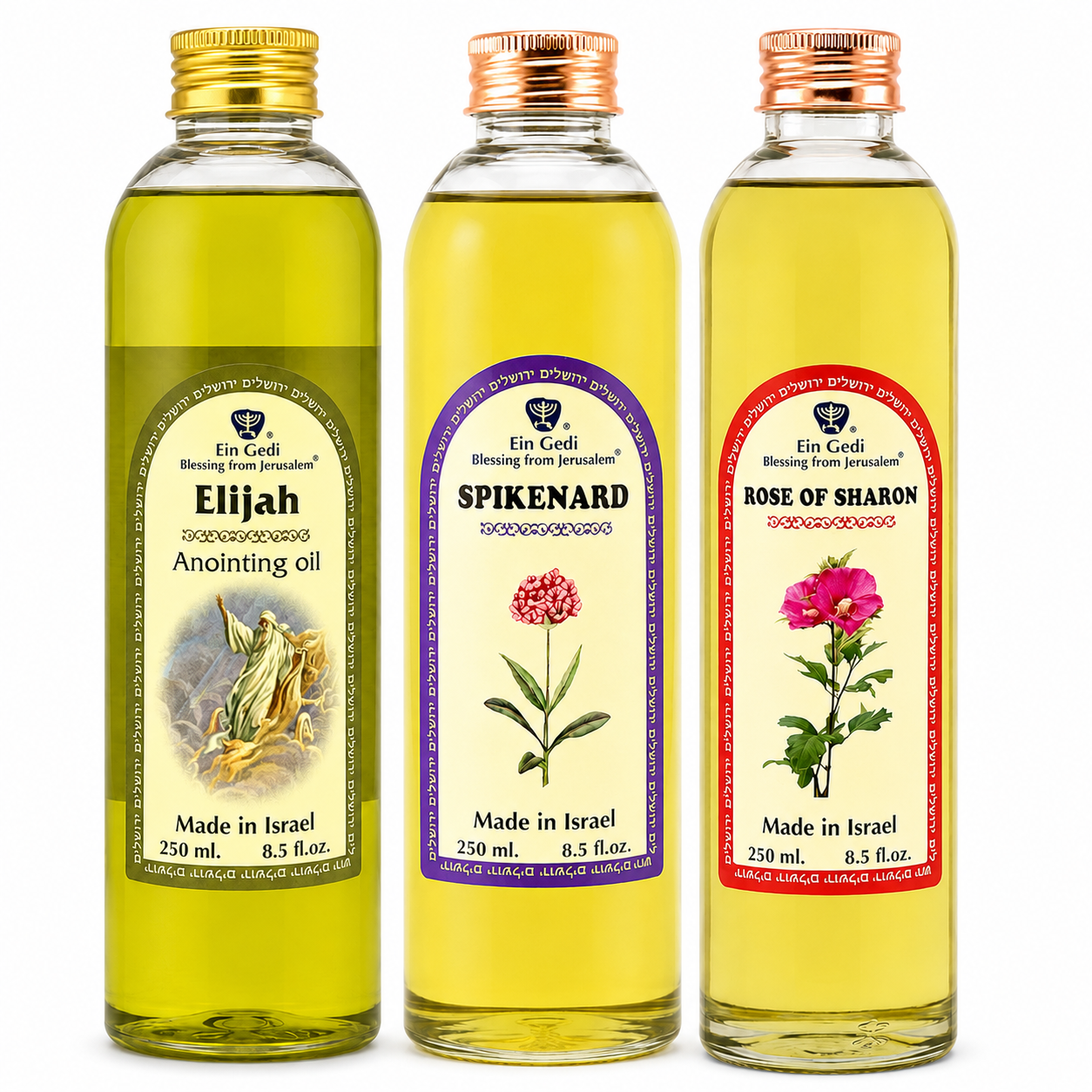 Ein Gedi 250ml anointing oil PET bottles in Spikenard, Rose of Sharon, and Elijah scents on white background
