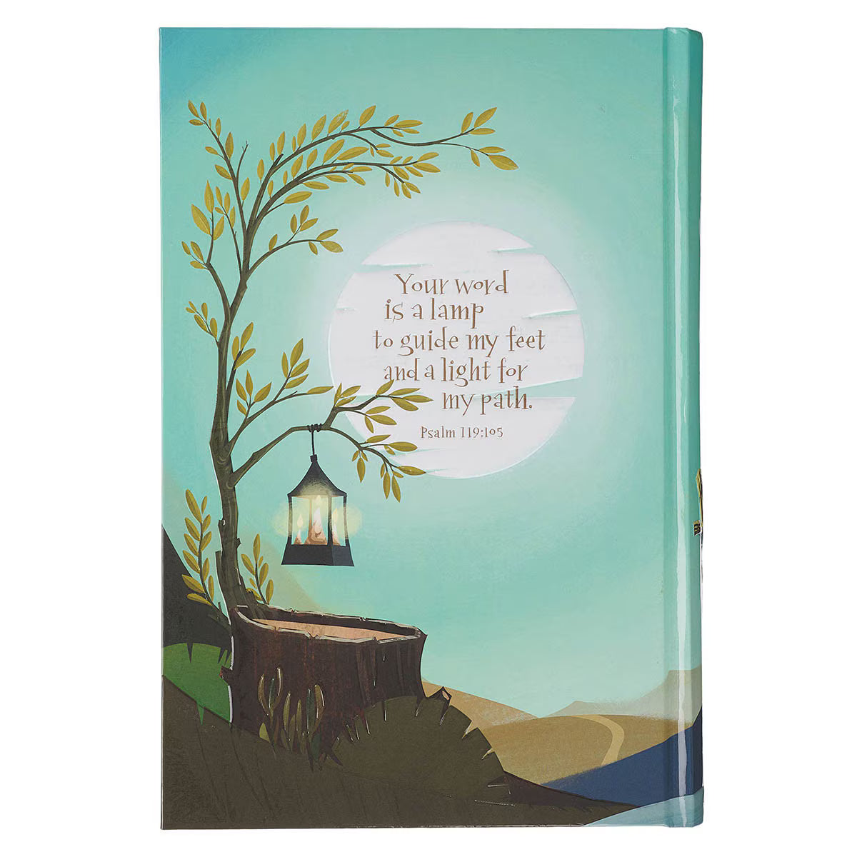 Hardcover Discovery Bible