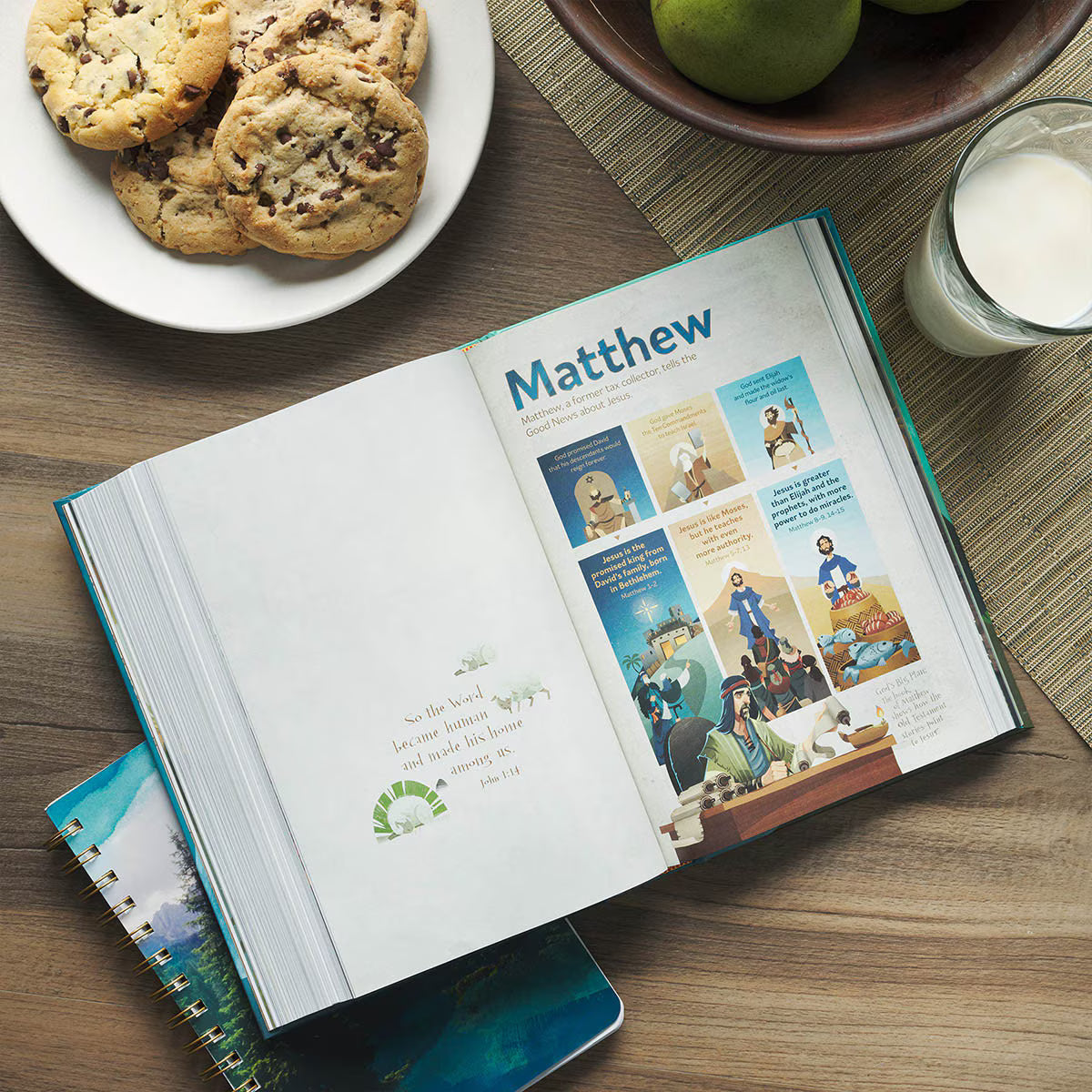Hardcover Discovery Bible