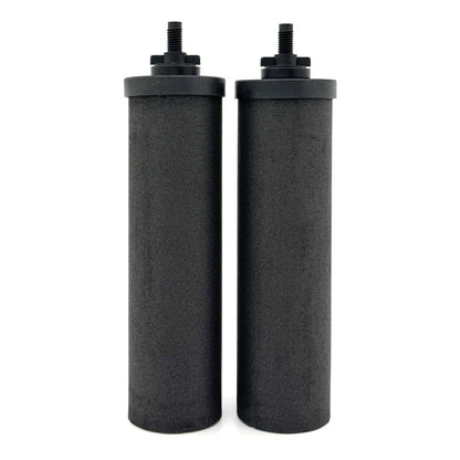 Phoenix Gravity New Millennium filter elements, set of two
