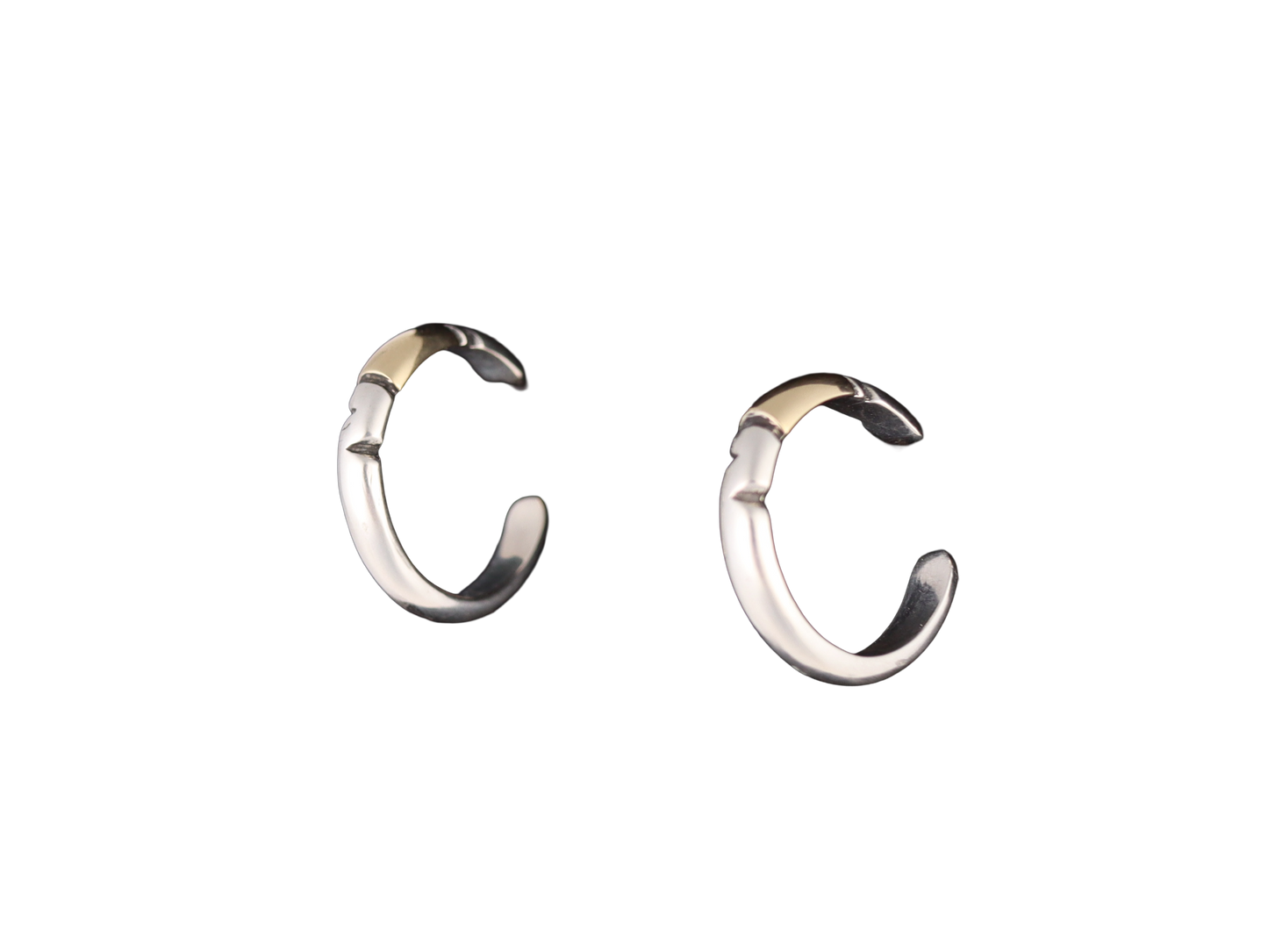 Silver & Gold Hoop Earrings