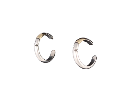 Silver & Gold Hoop Earrings