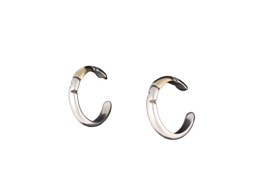 Silver & Gold Hoop Earrings