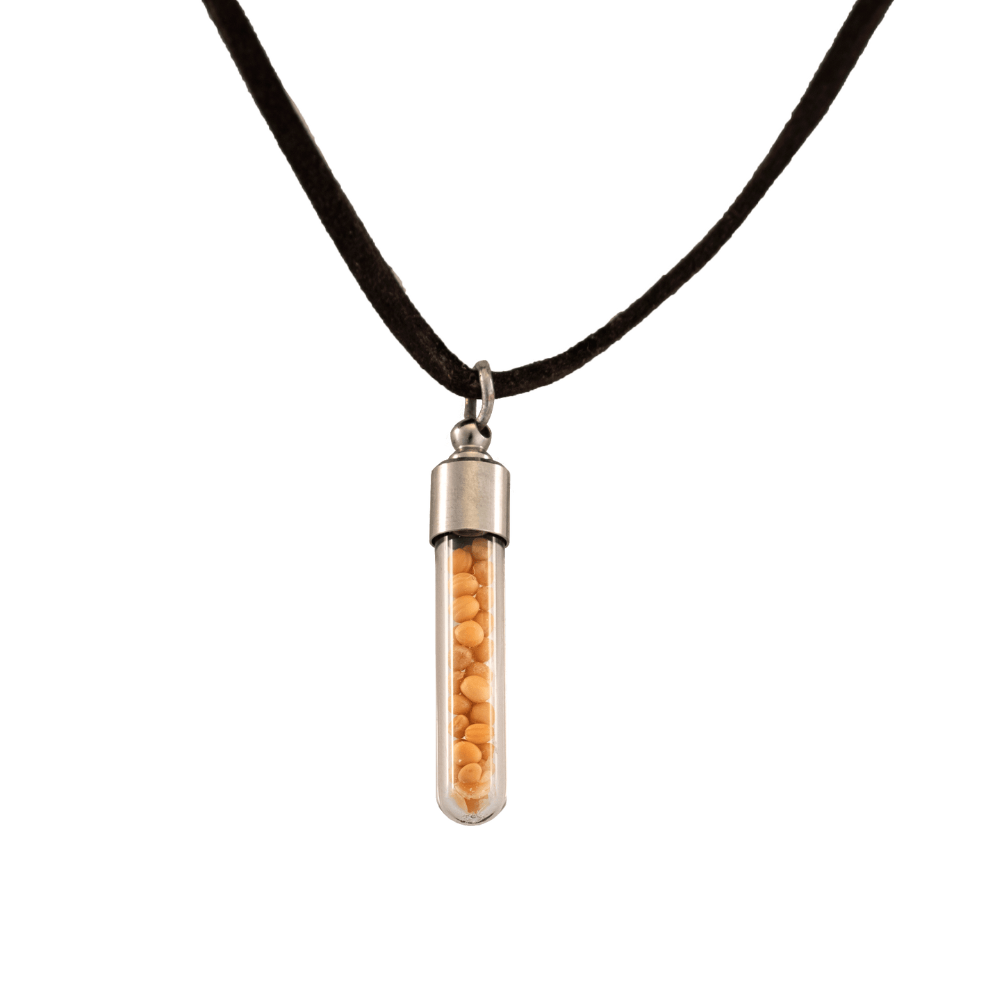 Clear vial holding mustard seeds pendant on a black cord