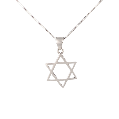 Star of David Classic Necklace -L (Various)