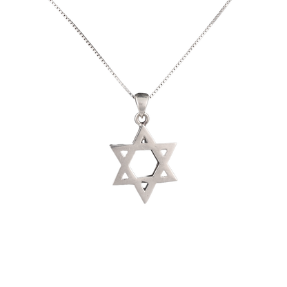 Star of David Classic Necklace -L (Various)